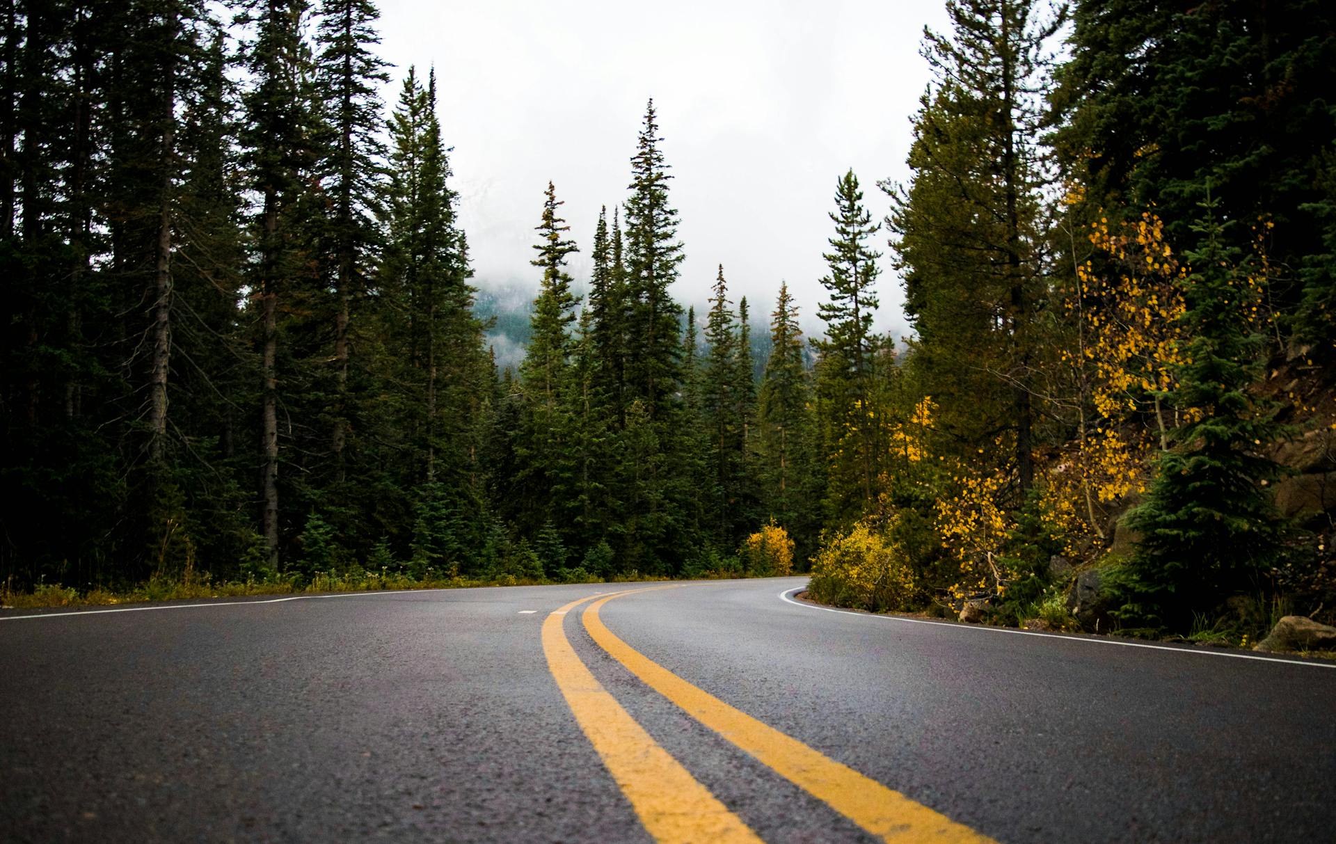 Parallax Image